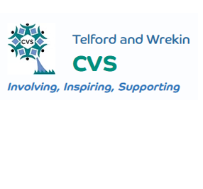 Council for Voluntary Service 